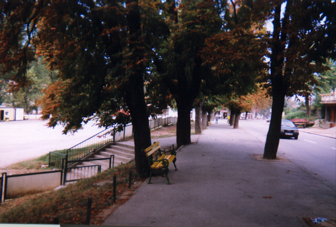 a1.jpg